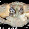 Muscle Creation Due Some Cases Difficult Contacts Most Generated During Rules While Derivation Overlaps Romly 7